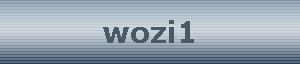 wozi1